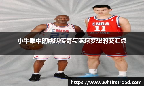 小牛眼中的姚明传奇与篮球梦想的交汇点